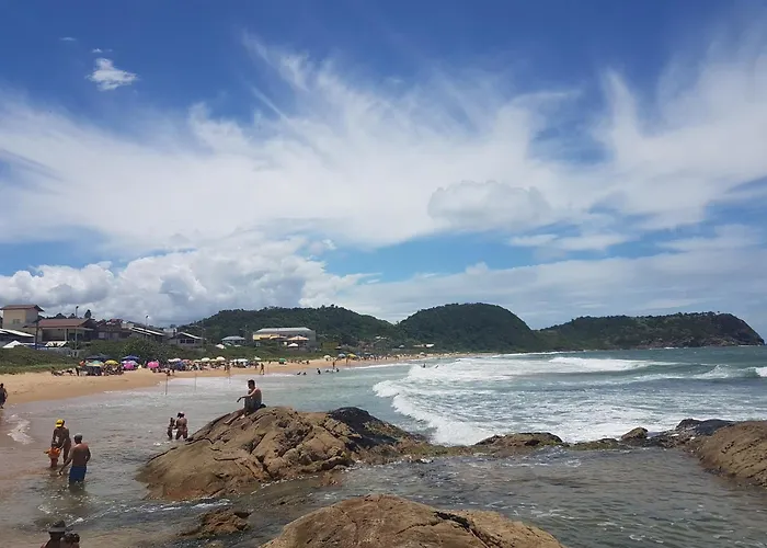 Curta Praia De Armacao - Casa Coqueiro